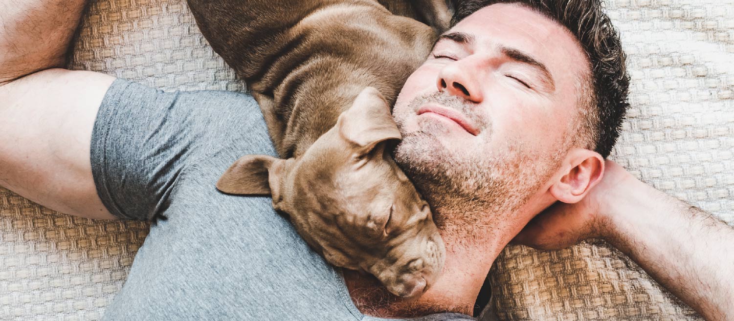 A dog resting its head on its owner’s neck as the owner sleeps on a bed with a slight smile