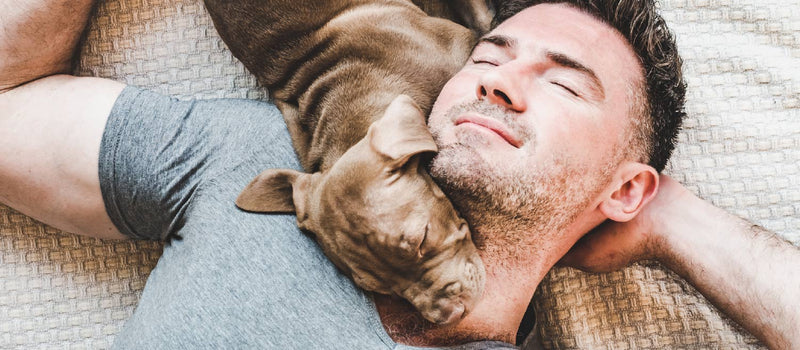A dog resting its head on its owner’s neck as the owner sleeps on a bed with a slight smile