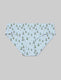Women's Second Skin Brief::Ice Water Frosted Pine::Swatch
