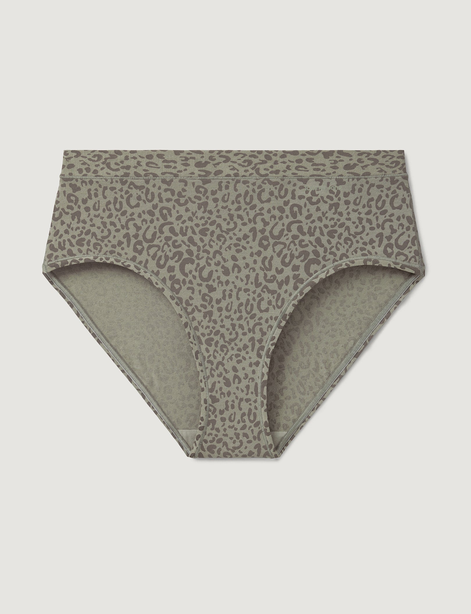 Women's Second Skin High Rise Brief