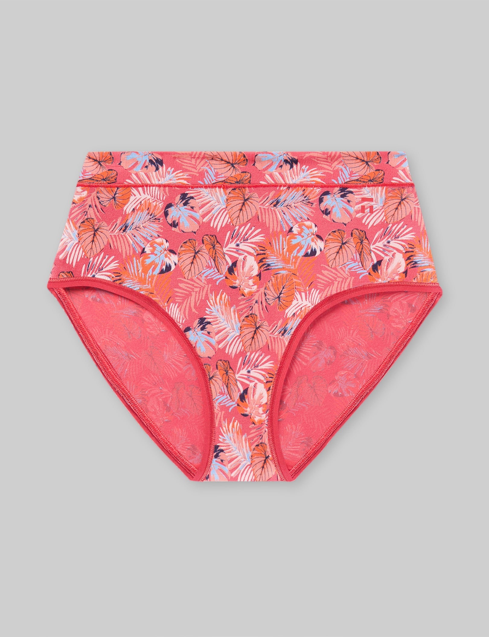 Women's Second Skin High Rise Brief