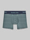 Second Skin Trunk 4"::Surf Spray Balanced Stripe::Swatch