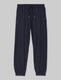 Adaptable Sweatpant::Night Sky::Swatch