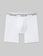 Signature Cotton Mid-Length Boxer Brief 6"::White::Swatch