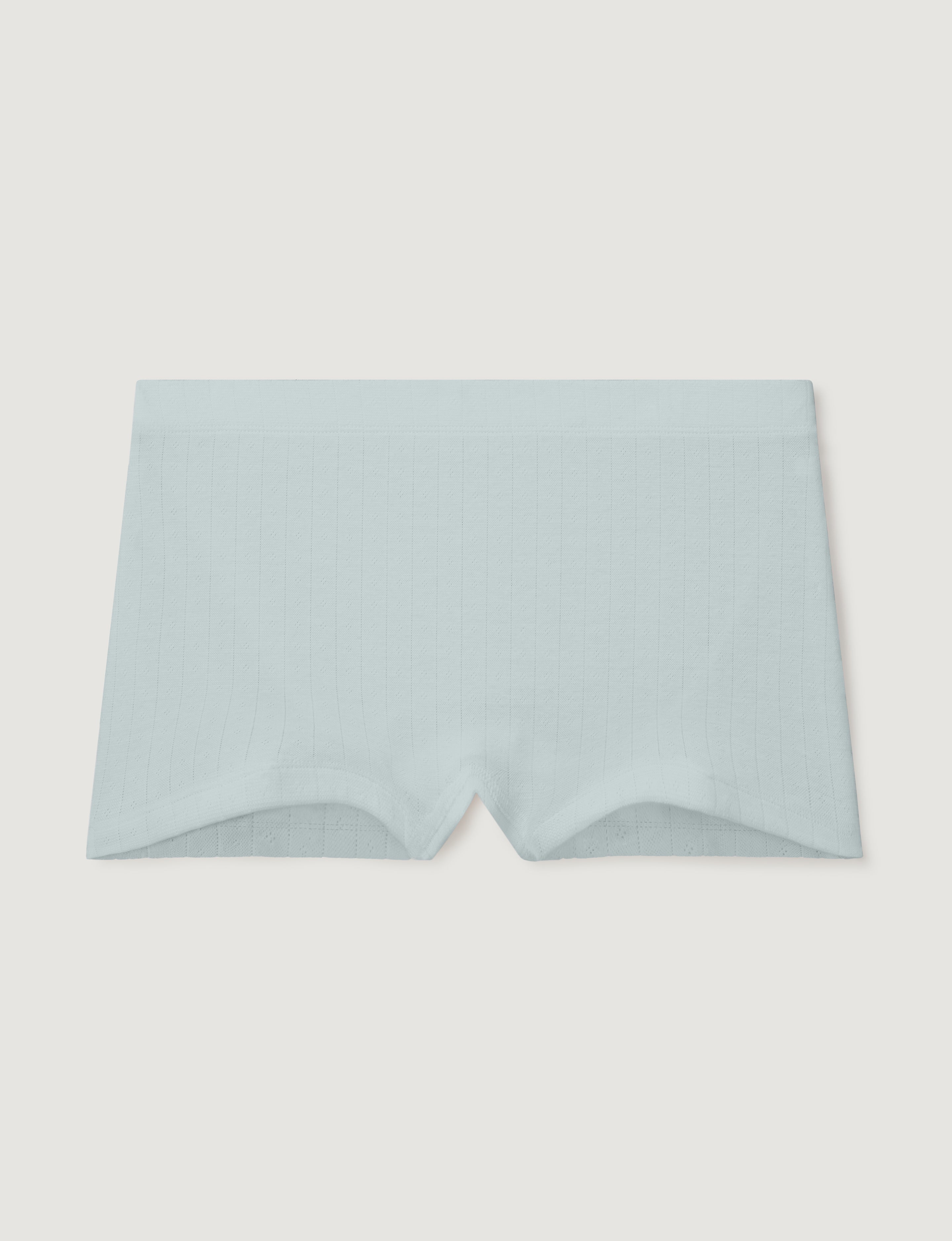 Women's Pointelle High Rise Boyshort